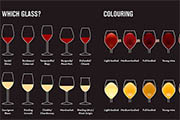 Worthy Wine Wisdom, in Infographic Form