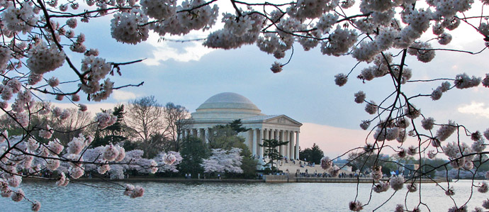 14 Things We're Excited to See Coming Up This Spring in DC