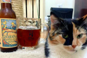 Instagram Account Pairs Cats With Beer, Makes Internet's Dreams Come True